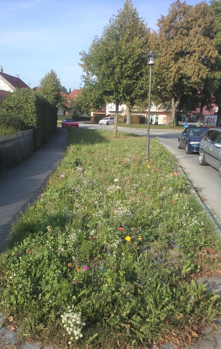 IMG 20180916 1658461